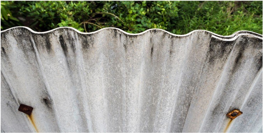 asbestos fence nz (1)