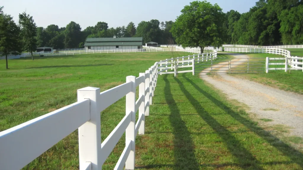 farm fencing cost per metre palmerston north (9)